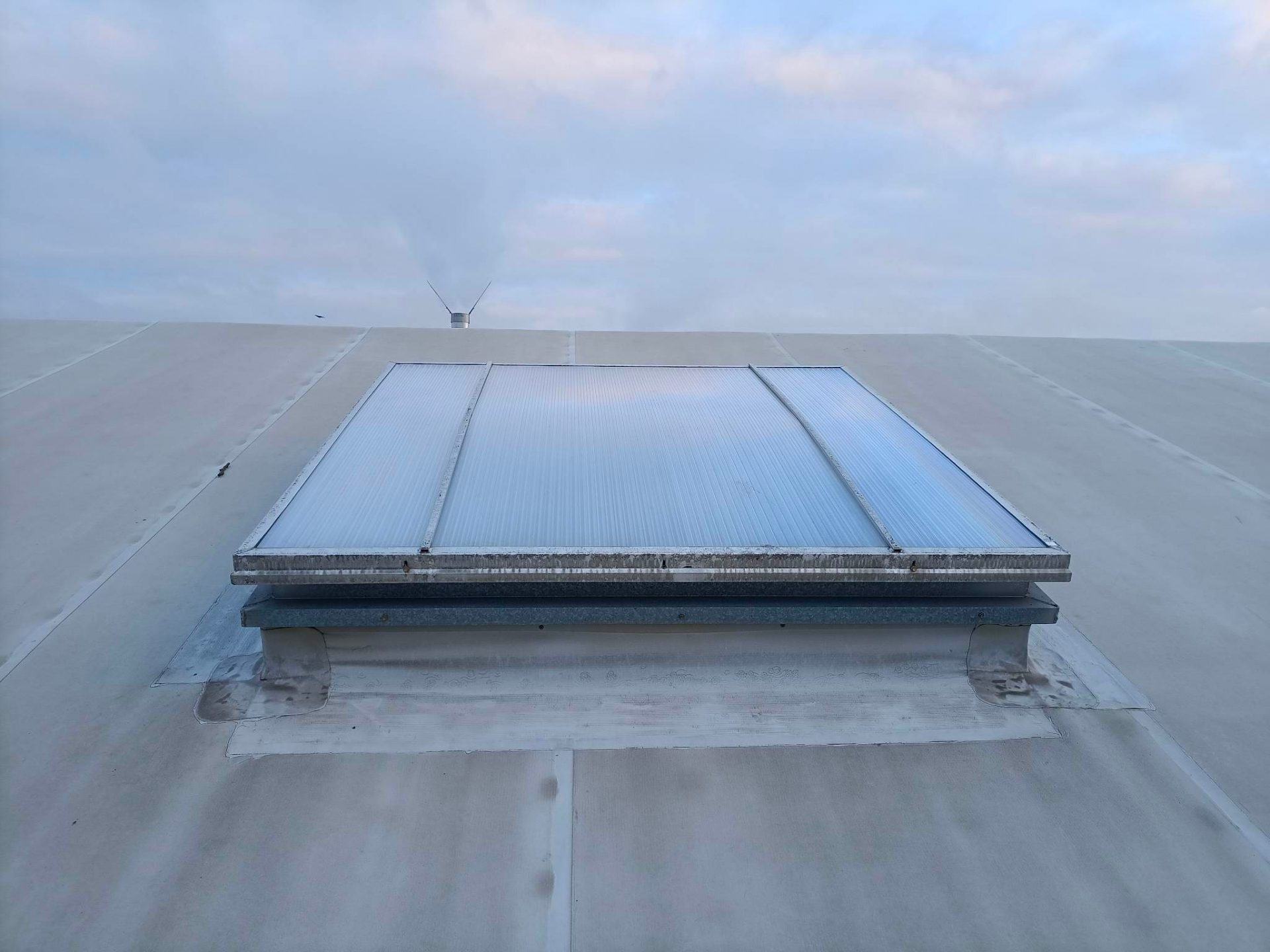 Housse De Chaise Extensible Motif Chat Noir | Pour Dossiers Carrés | Installation Rapide, Lavable En Machine